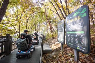 [포토] “양주시 토리근린공원, 무장애나눔길에서 가을의 청취를 느끼다” 이미지